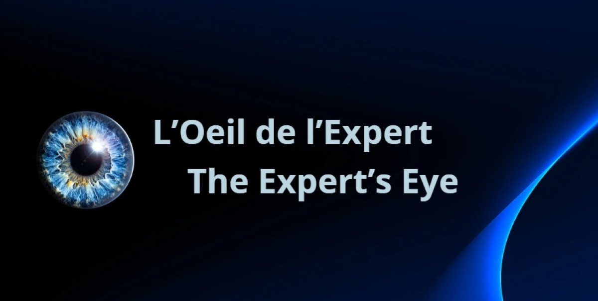 L'Œil de l'Expert - Nos transformateurs de courant